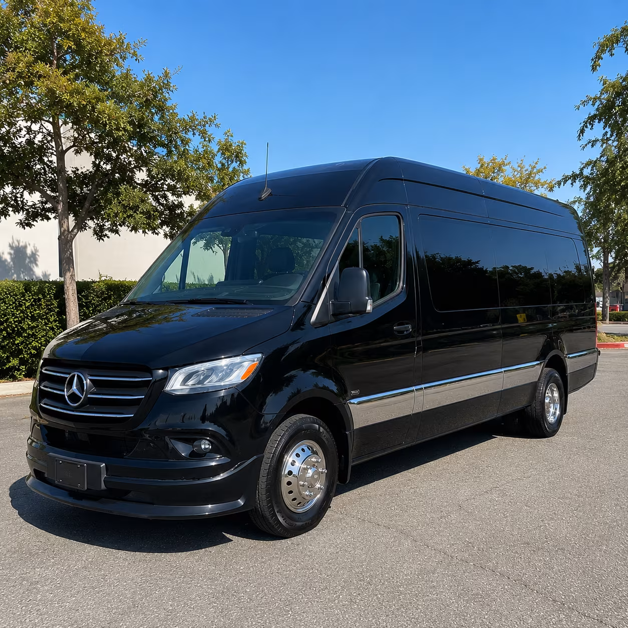 el paso 12 passenger sprinter van
