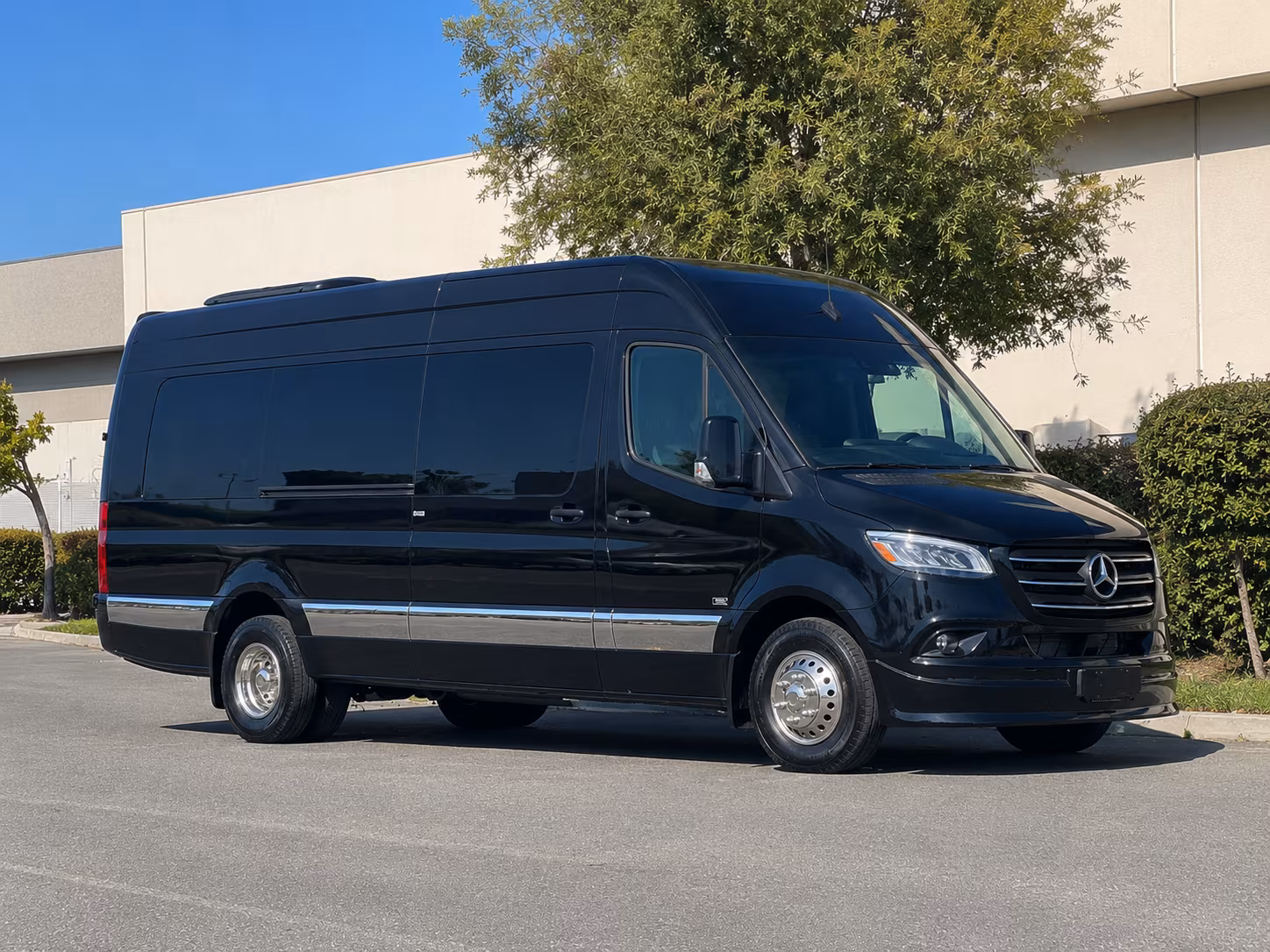 el paso 15 passenger sprinter van